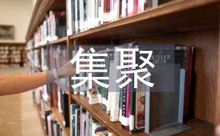 鄉(xiāng)鎮(zhèn)企業(yè)局集聚發(fā)展調(diào)研報告