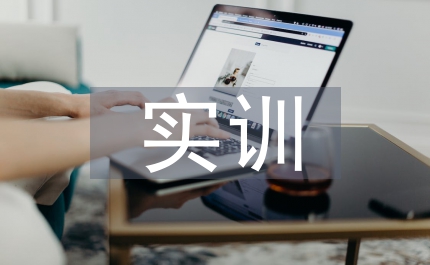 專業技能實訓報告