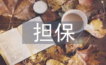 擔(dān)保制度