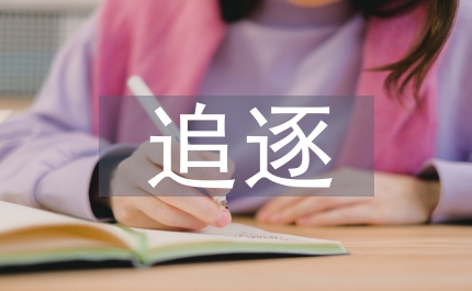 用心追逐 放飛夢想保險公司個人分享材料