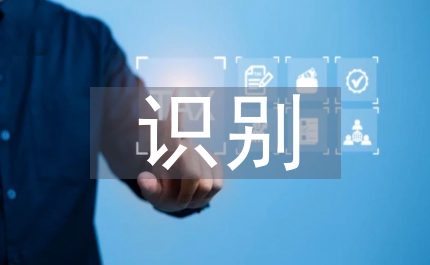 商業(yè)銀行信貸風(fēng)險識別和控制淺析