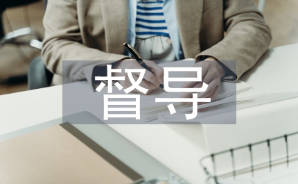 公共衛(wèi)生督導(dǎo)整改報(bào)告