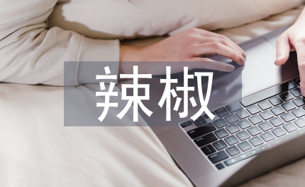 辣椒的育苗和栽培技術