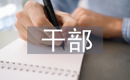 干部提拔考核材料