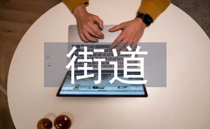 街道婦聯工作總結