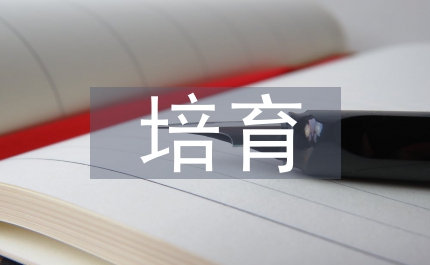 核心價值觀培育