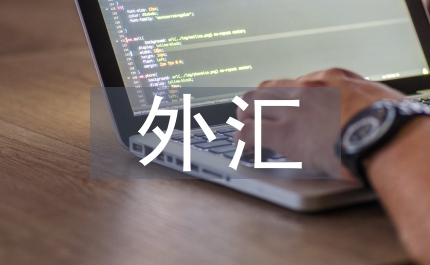 外匯市場風險的案例及分析