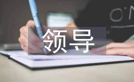 區(qū)領導區(qū)委會議講話