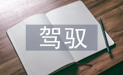 提高駕馭社會主義市場經濟的能力